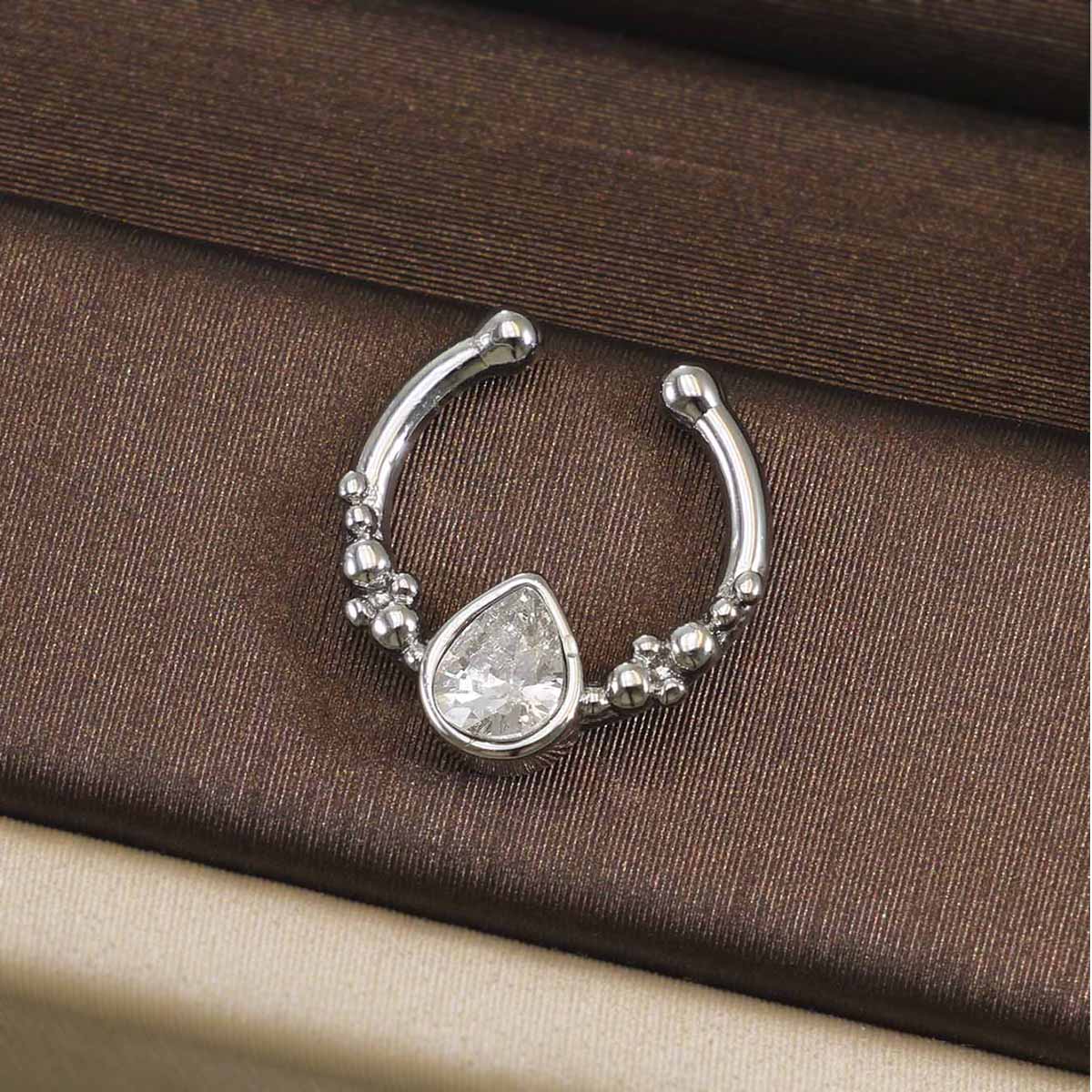 316L RVS Septum Clicker Ring 1 - Body Jewelry Septum recensie en prijs
