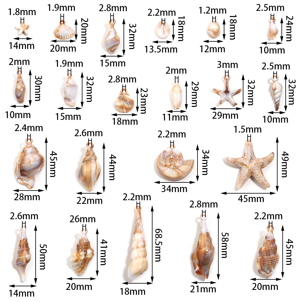 10-100 stuks natuurlijke schel - Body Jewelry Beach recensie en prijs