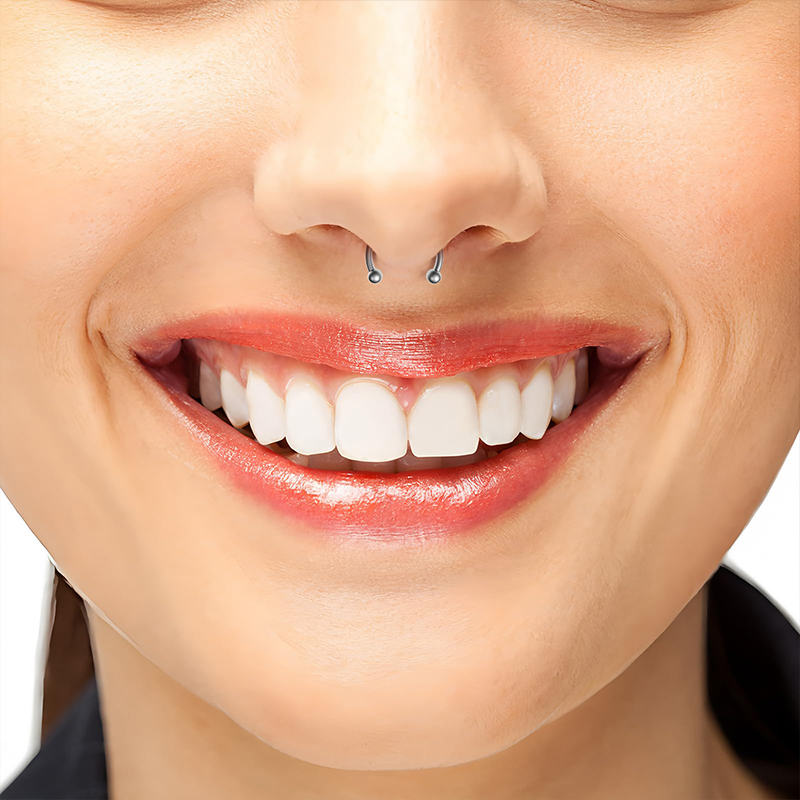 5 stks/partij Rvs 18G Hoefijze - Body Jewelry Septum recensie en prijs