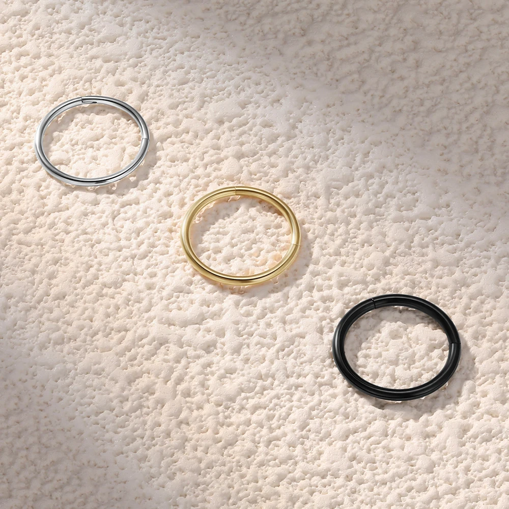 2/6PCS Naadloze 316L Rvs Neusr - Body Jewelry Septum recensie en prijs