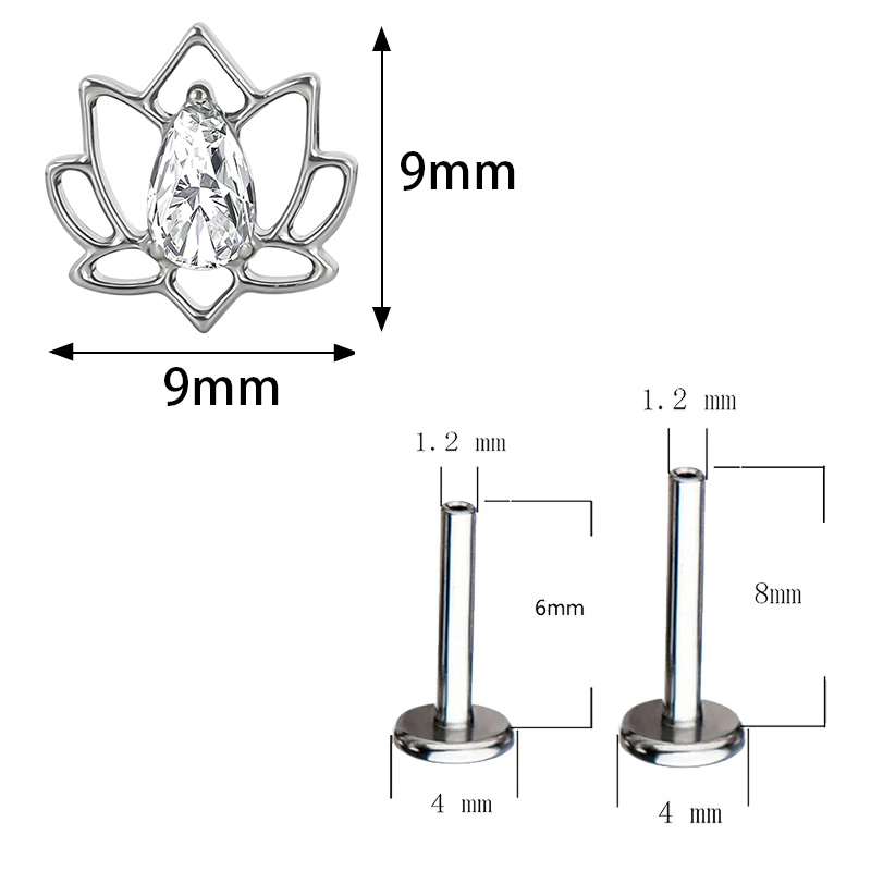 ASTM F136 Titanium Oor PIERC V - Body Jewelry Factory recensie en prijs